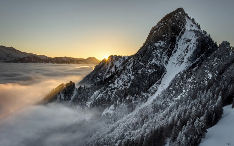 景观,山景,山,雾,雪山,斯诺伊峰,树木,山谷,自然,壁纸/手机壁纸|山,山景,山谷,斯诺伊峰,景观,树木,自然,雪山,雾-海量免费高质量壁纸|墙纸|手机壁纸|电脑壁纸|wallpaper|动漫|卡通|二次元|真人|风景壁纸库-美塔壁纸