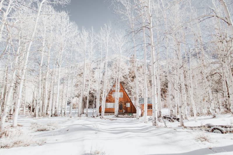 苍白,冬天,性质,山寨,白色,雪,柔和,森林,景观,壁纸/手机壁纸|冬天,山寨,性质,景观,柔和,森林,白色,苍白,雪-海量免费高质量壁纸|墙纸|手机壁纸|电脑壁纸|wallpaper|动漫|卡通|二次元|真人|风景壁纸库-美塔壁纸