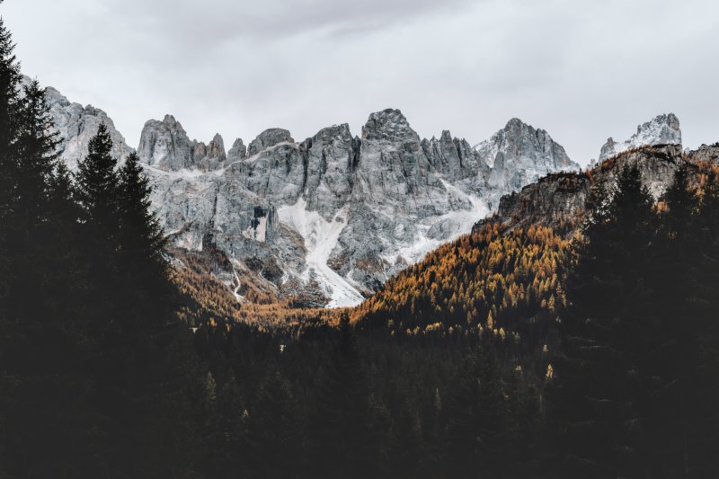 山,自然,森林,壁纸/手机壁纸|山,森林,自然-海量免费高质量壁纸|墙纸|手机壁纸|电脑壁纸|wallpaper|动漫|卡通|二次元|真人|风景壁纸库-美塔壁纸