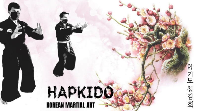 Hapkido,韩国武术,人,白色背景,壁纸/手机壁纸|Hapkido,人,白色背景,韩国武术-海量免费高质量壁纸|墙纸|手机壁纸|电脑壁纸|wallpaper|动漫|卡通|二次元|真人|风景壁纸库-美塔壁纸