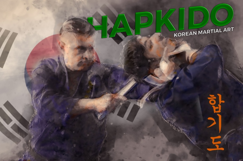 韩国武术,Hapkido,Taegeukgi,壁纸/手机壁纸|Hapkido,Taegeukgi,韩国武术-海量免费高质量壁纸|墙纸|手机壁纸|电脑壁纸|wallpaper|动漫|卡通|二次元|真人|风景壁纸库-美塔壁纸