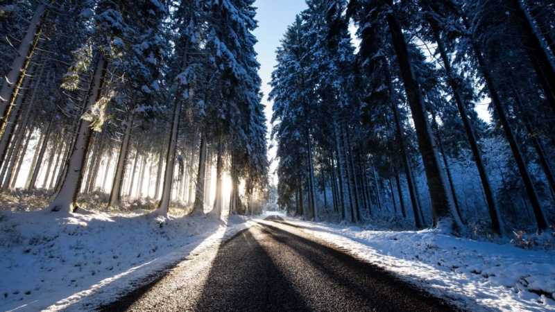 户外,道路,树,冬天,雪,冰,寒冷,阳光,壁纸/手机壁纸|冬天,冰,寒冷,户外,树,道路,阳光,雪-海量免费高质量壁纸|墙纸|手机壁纸|电脑壁纸|wallpaper|动漫|卡通|二次元|真人|风景壁纸库-美塔壁纸