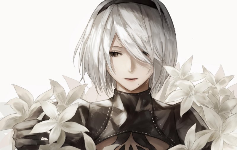 2b（nier：automata）,nier：自动机,鲜花,白色,绘图,壁纸/手机壁纸|2B（Nier：Automata）,Nier：自动机,白色,绘图,鲜花-海量免费高质量壁纸|墙纸|手机壁纸|电脑壁纸|wallpaper|动漫|卡通|二次元|真人|风景壁纸库-美塔壁纸