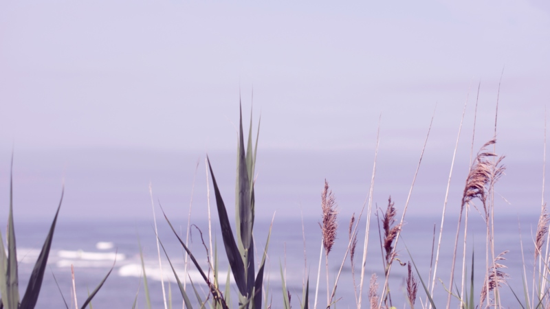 散景,海,波浪,自然,壁纸/手机壁纸|散景,波浪,海,自然-海量免费高质量壁纸|墙纸|手机壁纸|电脑壁纸|wallpaper|动漫|卡通|二次元|真人|风景壁纸库-美塔壁纸