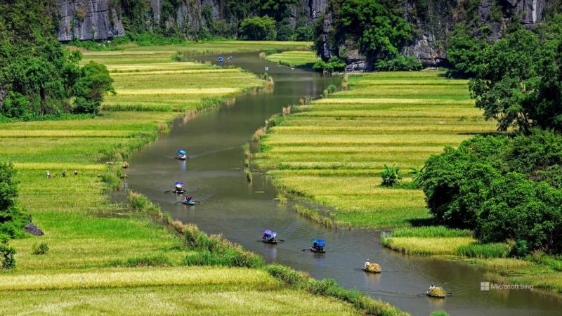 自然,景观,bing,壁纸/手机壁纸|bing,景观,自然-海量免费高质量壁纸|墙纸|手机壁纸|电脑壁纸|wallpaper|动漫|卡通|二次元|真人|风景壁纸库-美塔壁纸