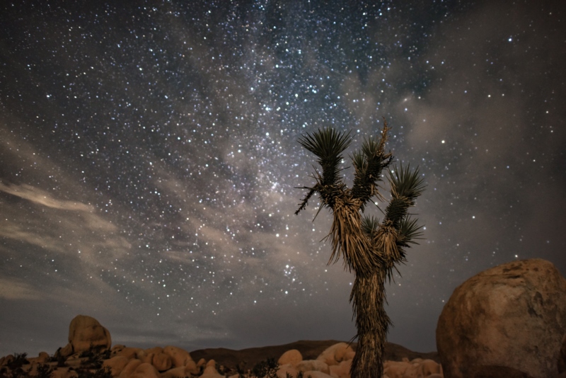 景观,沙漠,繁星之夜,岩石,星星,自然,壁纸/手机壁纸|岩石,星星,景观,沙漠,繁星之夜,自然-海量免费高质量壁纸|墙纸|手机壁纸|电脑壁纸|wallpaper|动漫|卡通|二次元|真人|风景壁纸库-美塔壁纸