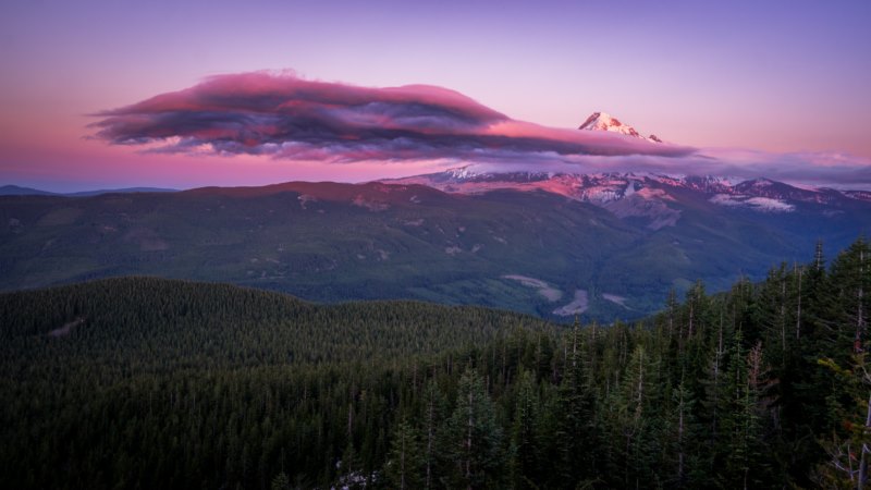 景观,森林,树木,云,雪,山,自然,壁纸/手机壁纸|云,山,景观,树木,森林,自然,雪-海量免费高质量壁纸|墙纸|手机壁纸|电脑壁纸|wallpaper|动漫|卡通|二次元|真人|风景壁纸库-美塔壁纸