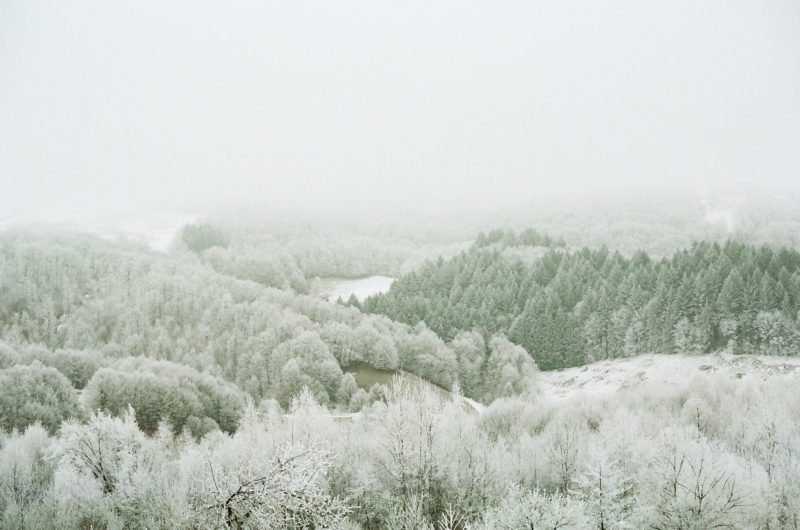 冬天,雪,12月（月）,景观,树木,寒冷,雾,明亮,性质,壁纸/手机壁纸|12月（月）,冬天,寒冷,性质,明亮,景观,树木,雪,雾-海量免费高质量壁纸|墙纸|手机壁纸|电脑壁纸|wallpaper|动漫|卡通|二次元|真人|风景壁纸库-美塔壁纸