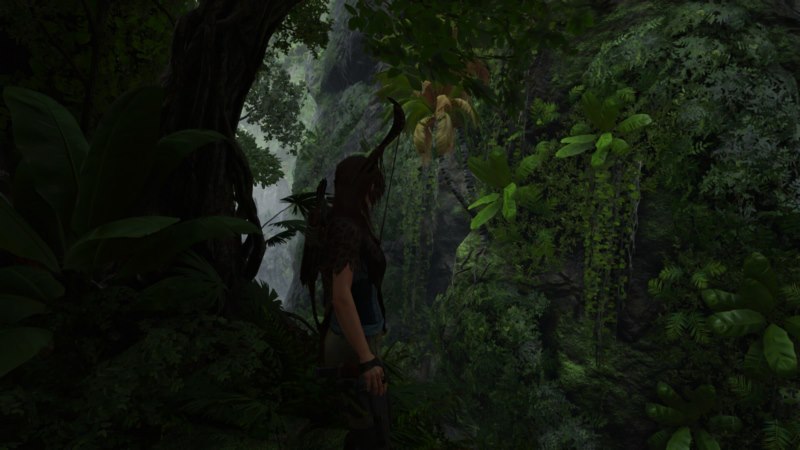 Lara Croft（Tomb Raider）,坟墓袭击者,植物,女性战士,电子游戏,PC游戏,屏幕射击的阴影,壁纸/手机壁纸|Lara Croft（Tomb Raider）,PC游戏,坟墓袭击者,女性战士,屏幕射击的阴影,植物,电子游戏-海量免费高质量壁纸|墙纸|手机壁纸|电脑壁纸|wallpaper|动漫|卡通|二次元|真人|风景壁纸库-美塔壁纸