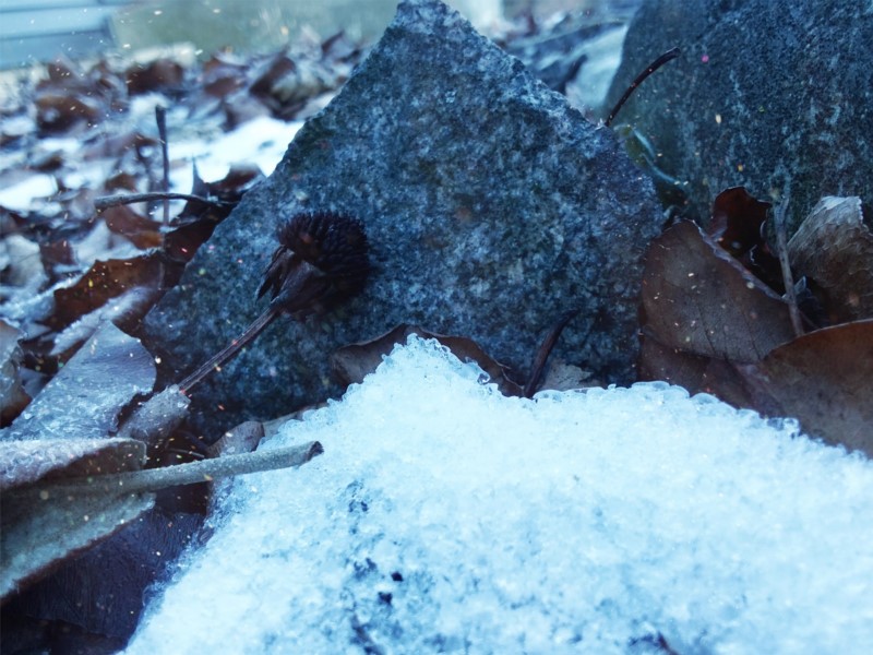 自然,世界,雪,落叶,岩石,寒冷,壁纸/手机壁纸|世界,寒冷,岩石,自然,落叶,雪-海量免费高质量壁纸|墙纸|手机壁纸|电脑壁纸|wallpaper|动漫|卡通|二次元|真人|风景壁纸库-美塔壁纸