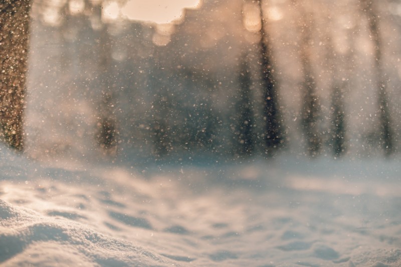 冬天,雪花,雪,森林,寒冷,阳光,散景,自然,壁纸/手机壁纸|冬天,寒冷,散景,森林,自然,阳光,雪,雪花-海量免费高质量壁纸|墙纸|手机壁纸|电脑壁纸|wallpaper|动漫|卡通|二次元|真人|风景壁纸库-美塔壁纸