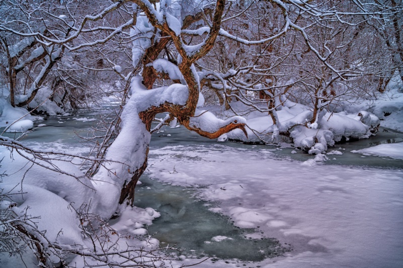 自然,冬天,寒冷,冰,树,小溪,户外,雪,壁纸/手机壁纸|冬天,冰,寒冷,小溪,户外,树,自然,雪-海量免费高质量壁纸|墙纸|手机壁纸|电脑壁纸|wallpaper|动漫|卡通|二次元|真人|风景壁纸库-美塔壁纸