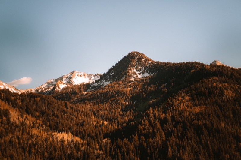 山,树木,雪,森林,自然,壁纸/手机壁纸|山,树木,森林,自然,雪-海量免费高质量壁纸|墙纸|手机壁纸|电脑壁纸|wallpaper|动漫|卡通|二次元|真人|风景壁纸库-美塔壁纸