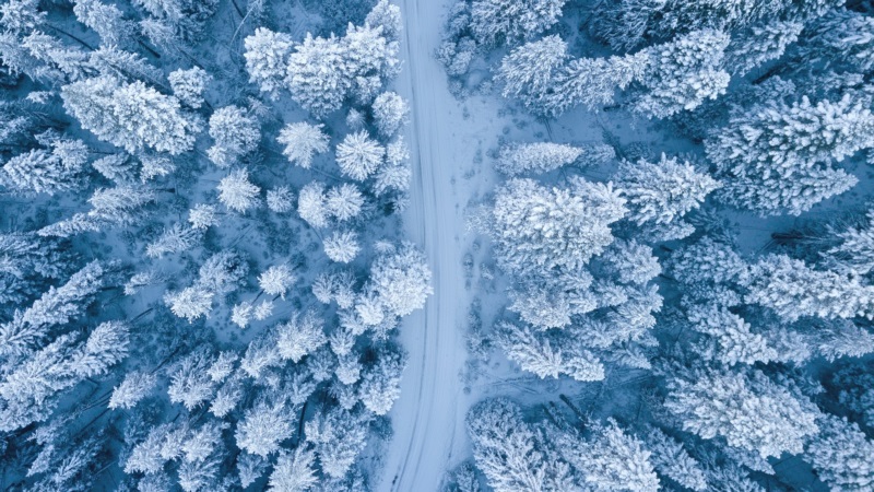 自然,雪,树,森林,冬天,鸟瞰图,道路,壁纸/手机壁纸|冬天,树,森林,自然,道路,雪,鸟瞰图-海量免费高质量壁纸|墙纸|手机壁纸|电脑壁纸|wallpaper|动漫|卡通|二次元|真人|风景壁纸库-美塔壁纸