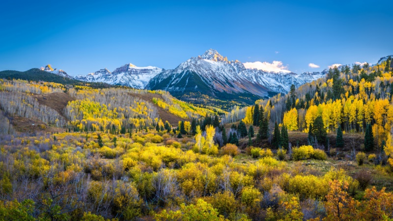 自然,景观,美国,森林,天空,秋天,山,树木,黄色,绿色,雪,壁纸/手机壁纸|天空,山,景观,树木,森林,秋天,绿色,美国,自然,雪,黄色-海量免费高质量壁纸|墙纸|手机壁纸|电脑壁纸|wallpaper|动漫|卡通|二次元|真人|风景壁纸库-美塔壁纸