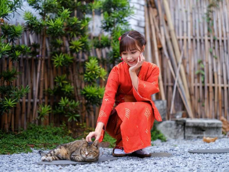 亚洲,模特,女性,长发,黑发,蹲,和服,传统服装,发饰,猫,凉鞋,围栏,灌木丛,壁纸/手机壁纸|亚洲,传统服装,凉鞋,发饰,和服,围栏,女性,模特,灌木丛,猫,蹲,长发,黑发-海量免费高质量壁纸|墙纸|手机壁纸|电脑壁纸|wallpaper|动漫|卡通|二次元|真人|风景壁纸库-美塔壁纸