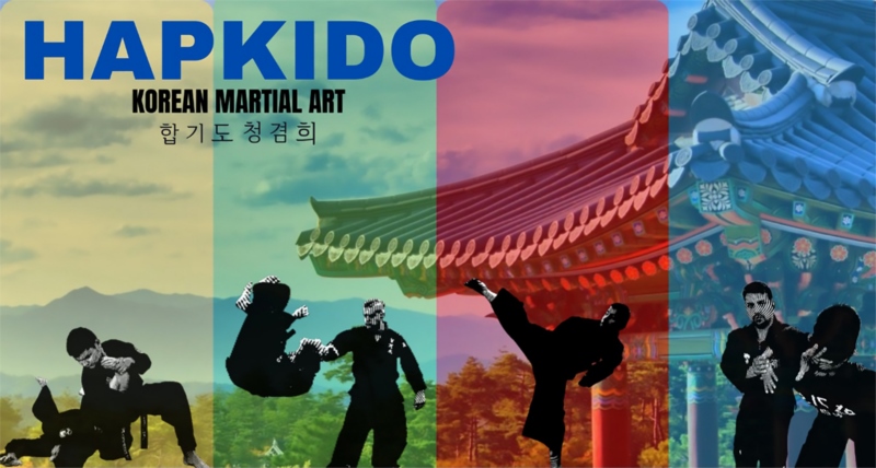 韩国,韩国武术,Hapkido,壁纸/手机壁纸|Hapkido,韩国,韩国武术-海量免费高质量壁纸|墙纸|手机壁纸|电脑壁纸|wallpaper|动漫|卡通|二次元|真人|风景壁纸库-美塔壁纸