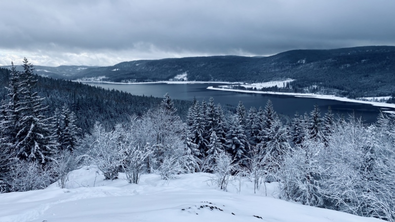 自然,景观,雪,德国,Blackforest,Schluchsee,冬天,壁纸/手机壁纸|Blackforest,Schluchsee,冬天,德国,景观,自然,雪-海量免费高质量壁纸|墙纸|手机壁纸|电脑壁纸|wallpaper|动漫|卡通|二次元|真人|风景壁纸库-美塔壁纸