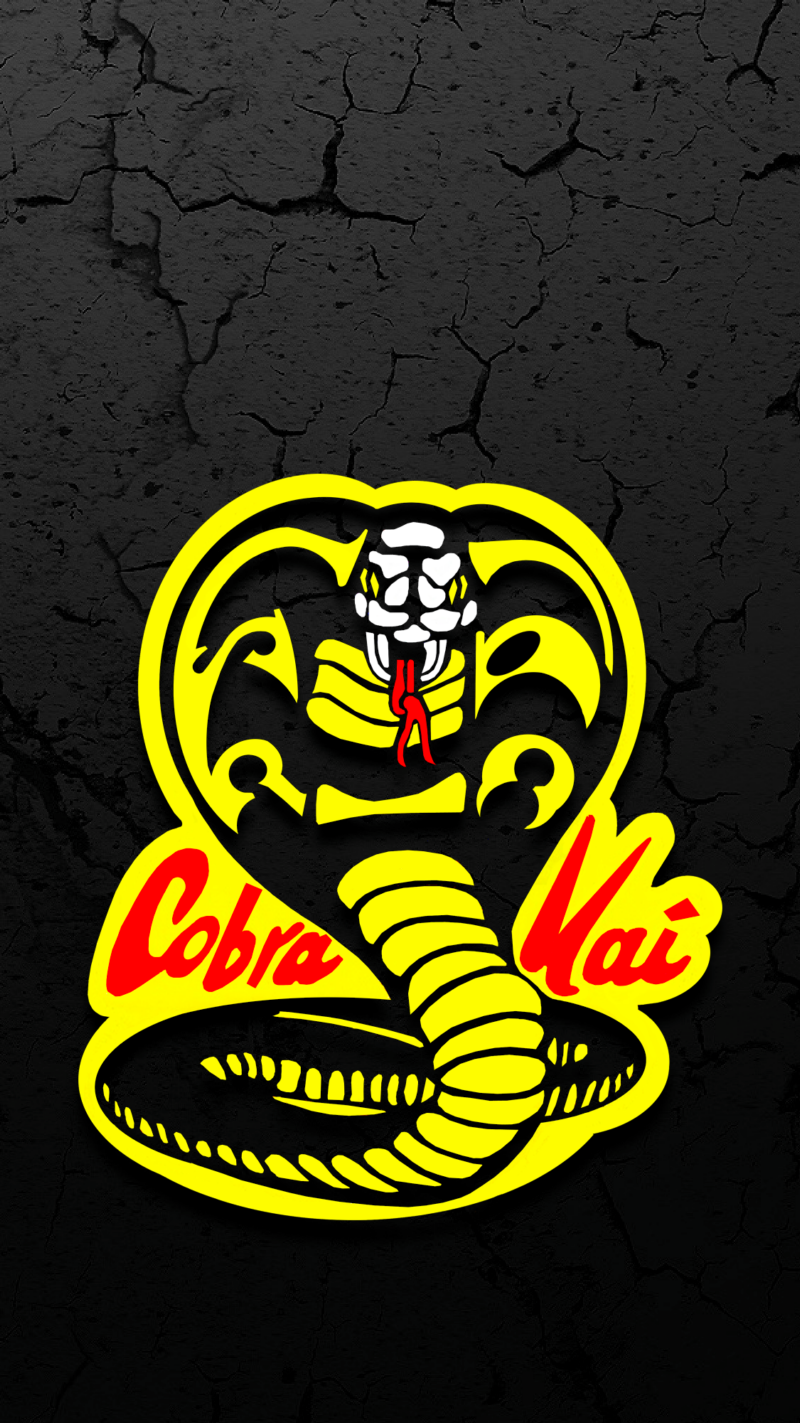 系列,空手道小孩,Cobra Kai,Snake,壁纸/手机壁纸|Cobra Kai,Snake,空手道小孩,系列-海量免费高质量壁纸|墙纸|手机壁纸|电脑壁纸|wallpaper|动漫|卡通|二次元|真人|风景壁纸库-美塔壁纸