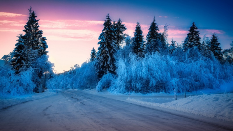 冬天,户外,冰,寒冷,雪,道路,紫色的天空,阳光,壁纸/手机壁纸|冬天,冰,寒冷,户外,紫色的天空,道路,阳光,雪-海量免费高质量壁纸|墙纸|手机壁纸|电脑壁纸|wallpaper|动漫|卡通|二次元|真人|风景壁纸库-美塔壁纸